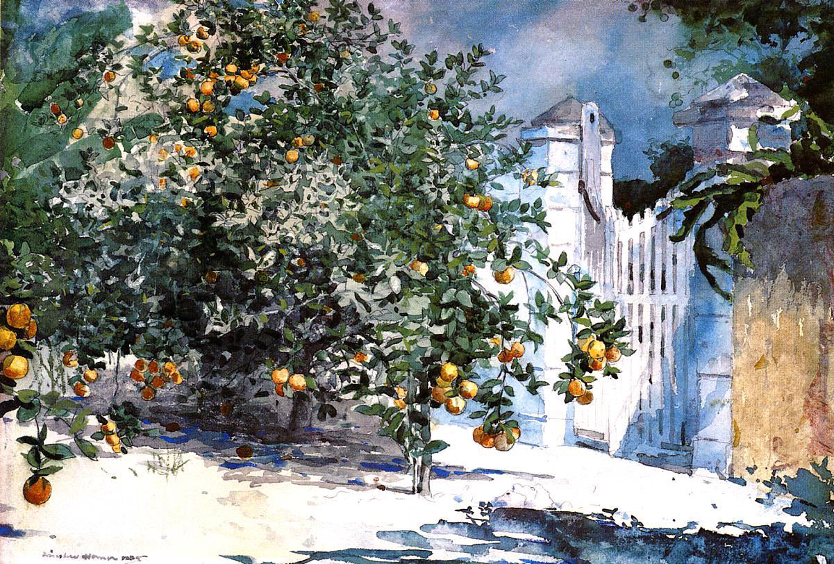Winslow Homer Orange Tree, Nassau (also known as Orange Trees and Gate) - Canvas Print
