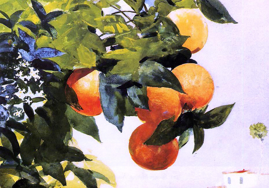 Winslow Homer Oranges on a Branch - Canvas Print