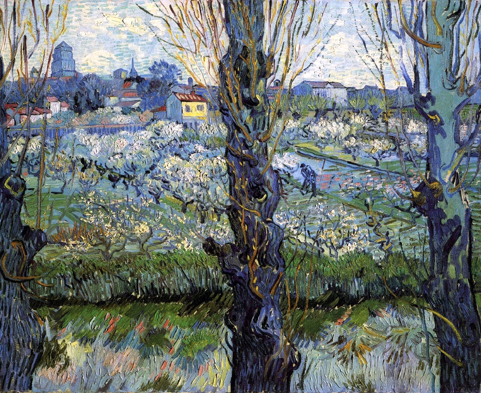 Vincent Van Gogh Orchard in Bloom with Poplars - Canvas Print