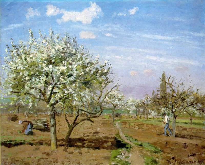 Camille Pissarro Orchard in Blossom, Louveciennes - Canvas Print