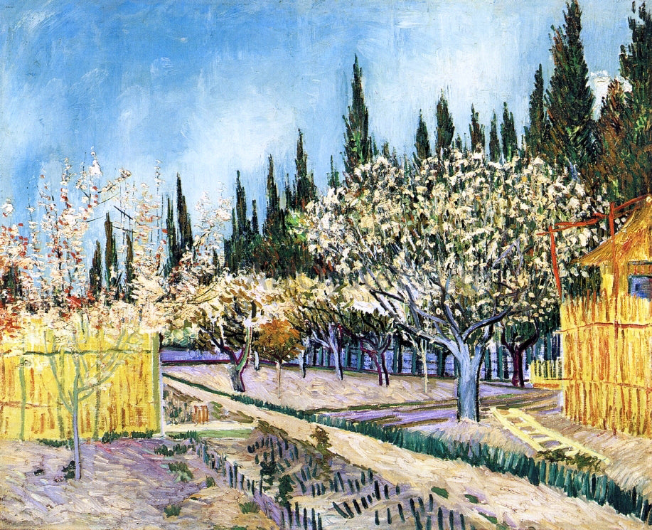 Vincent Van Gogh Orchard Surrounded by Cypresses - Canvas Print