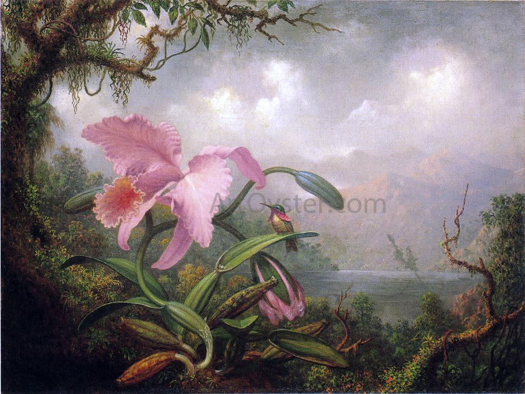 Martin Johnson Heade Orchid and Hummingbird - Canvas Print