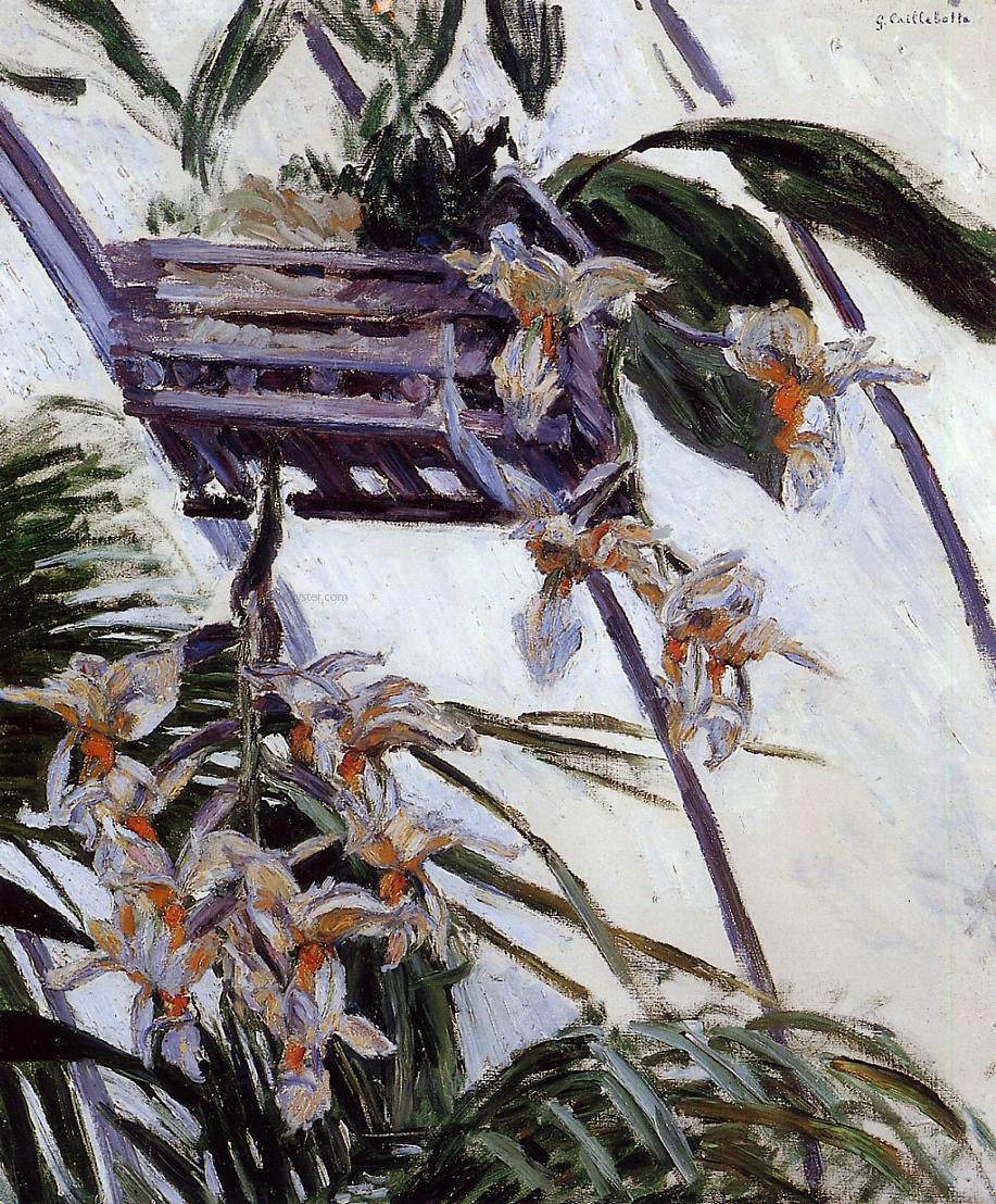 Gustave Caillebotte Orchids - Canvas Print