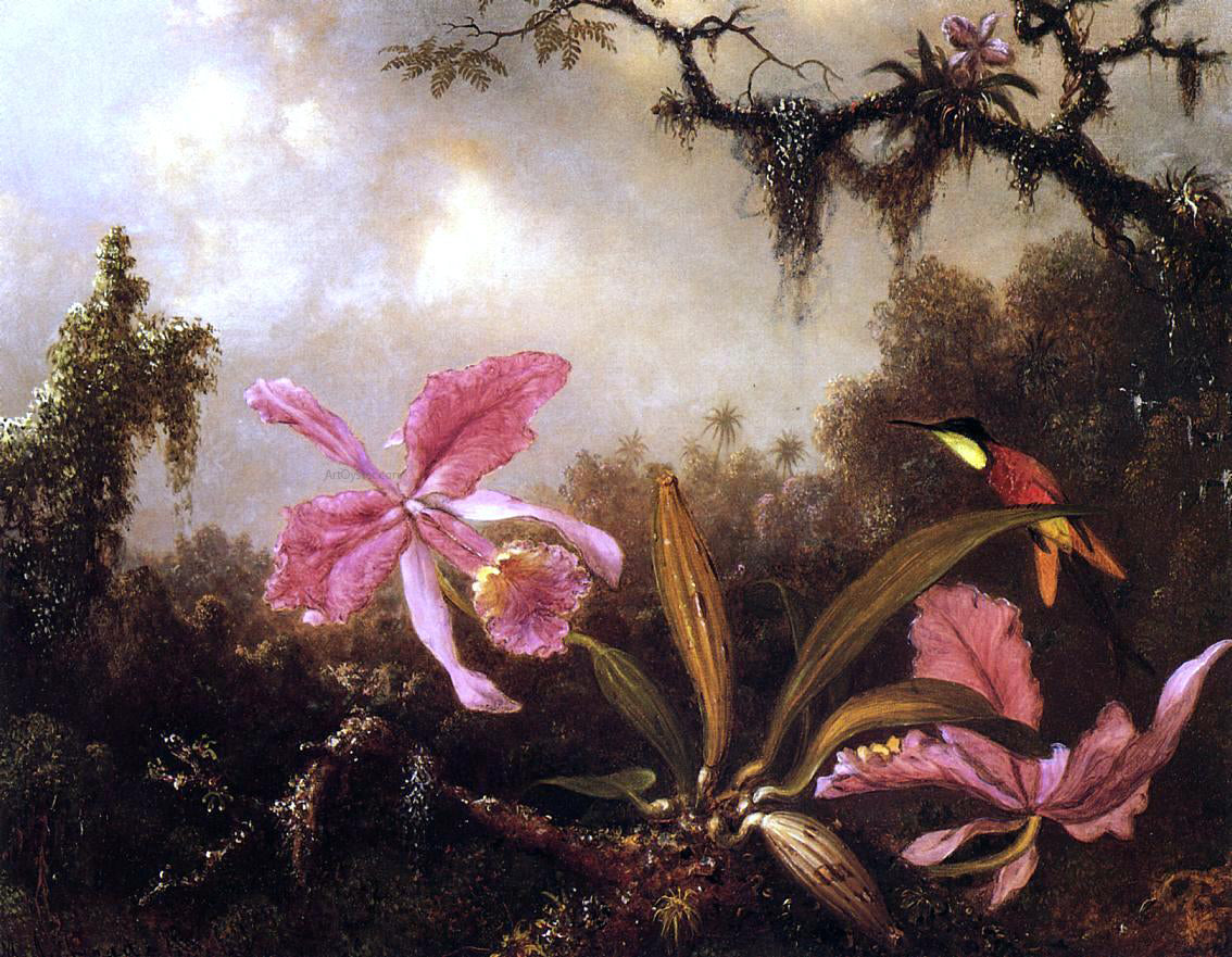Martin Johnson Heade Orchids and Crimson Topaz Hummingbird - Canvas Print