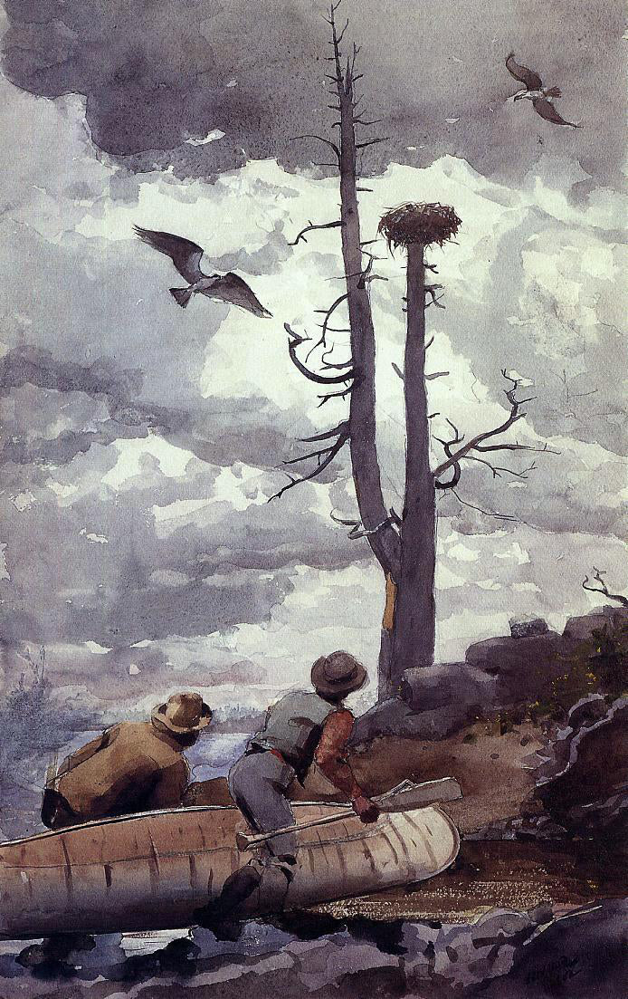 Winslow Homer Osprey's Nest - Canvas Print