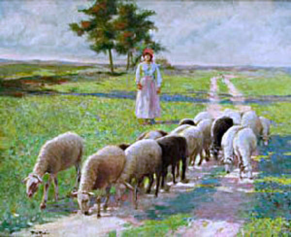 Alberto Pla Y Rubio Ovejas - Canvas Print