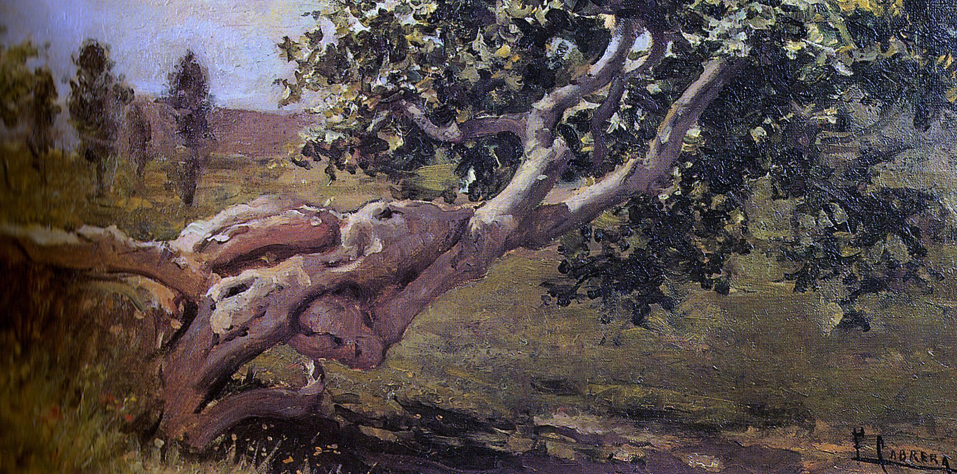 Fernando Cabrera Canto Paisaje - Canvas Print