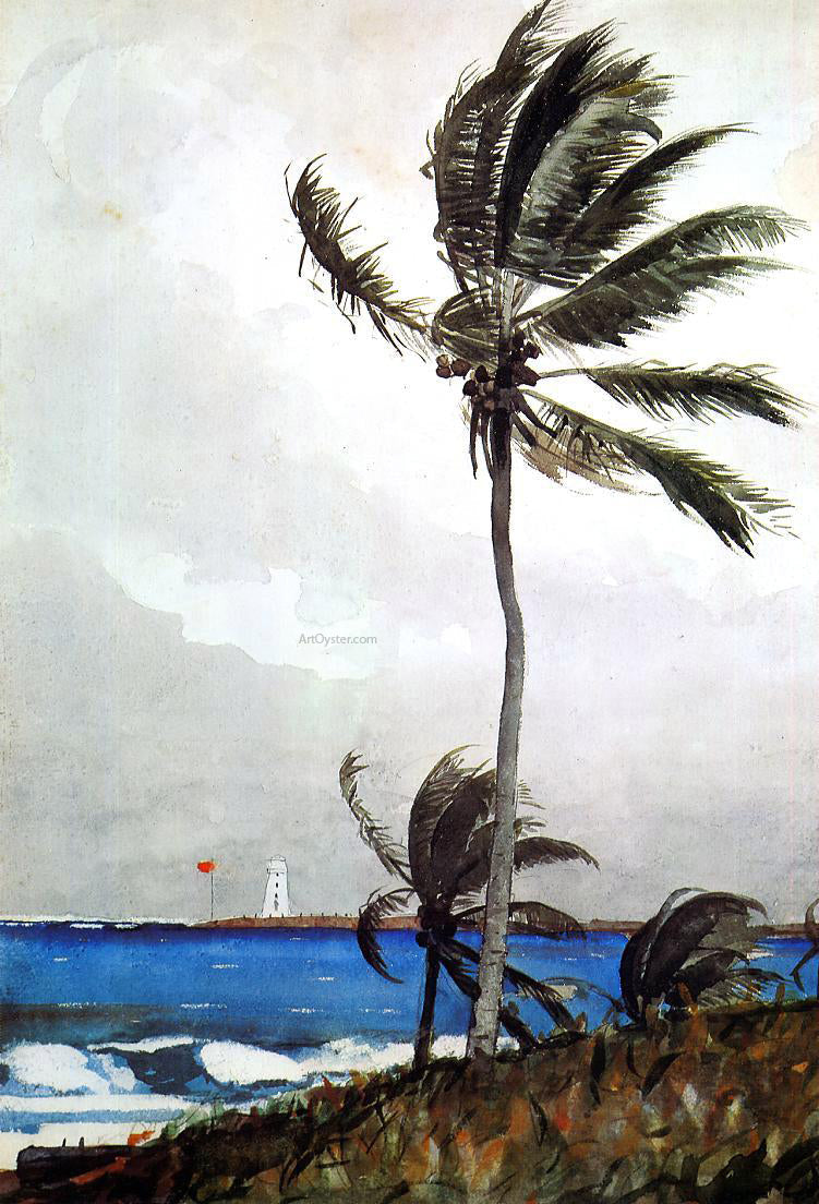 Winslow Homer Palm Tree, Nassau - Canvas Print