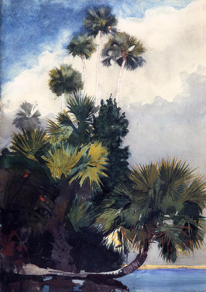 Winslow Homer Palm Trees, Florida - Canvas Print