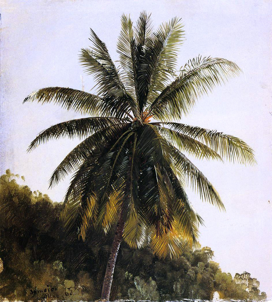 Frederic Edwin Church Palm Trees, West Indies - Canvas Print