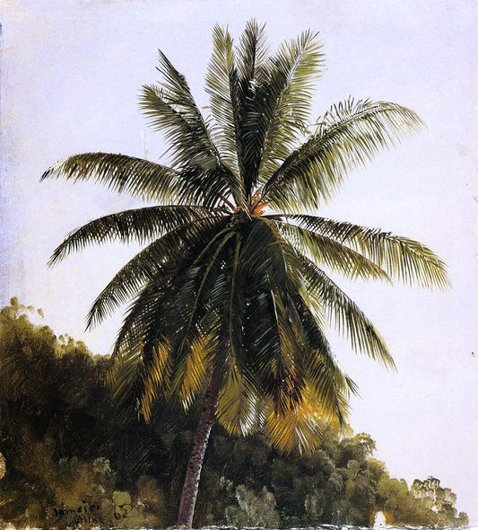 Frederic Edwin Church Palm Trees, West Indies - Canvas Print