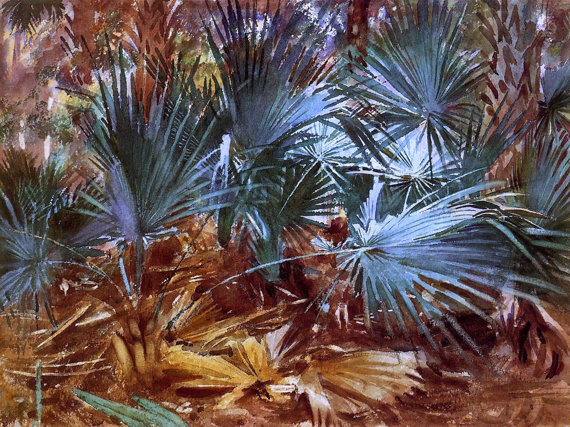 John Singer Sargent Palmettos - Canvas Print
