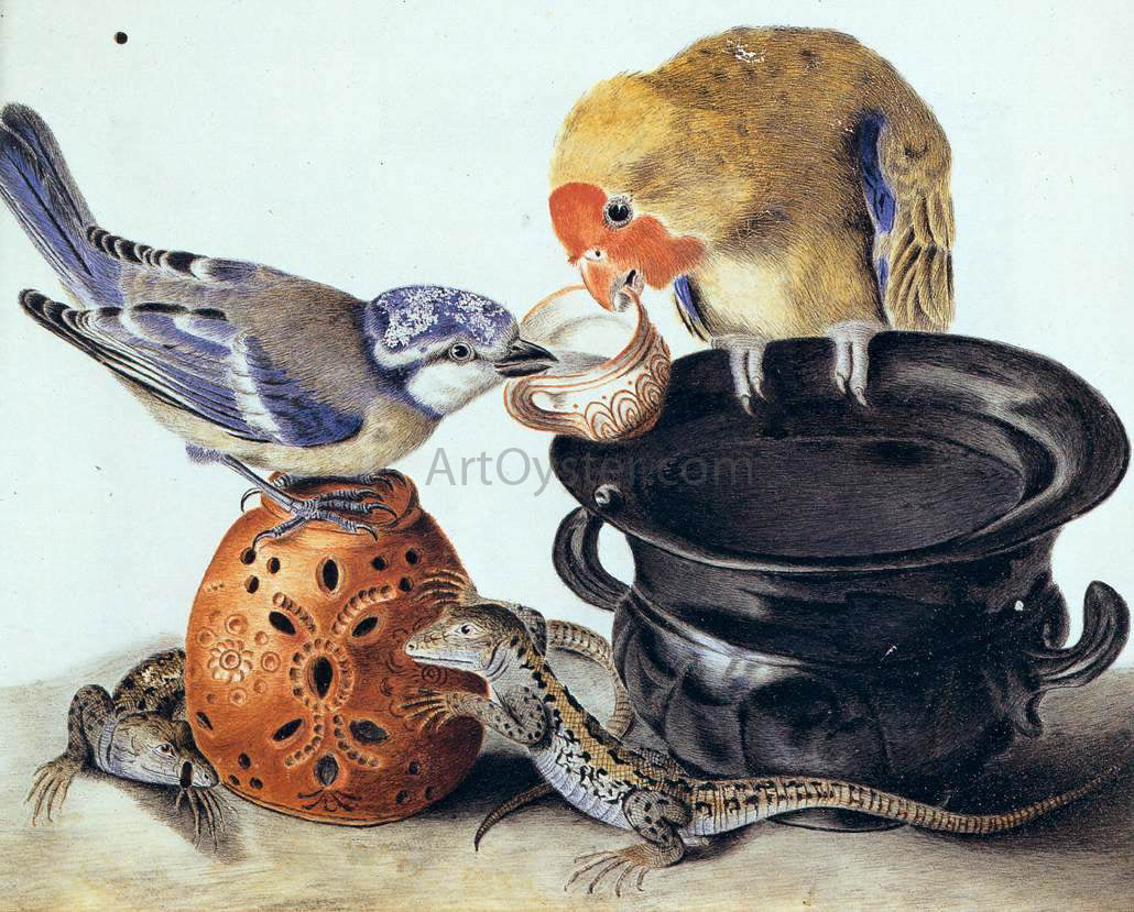 Luisa Vitelli A Parrot, Blue Tit, Two Lizards, and Vases - Canvas Print