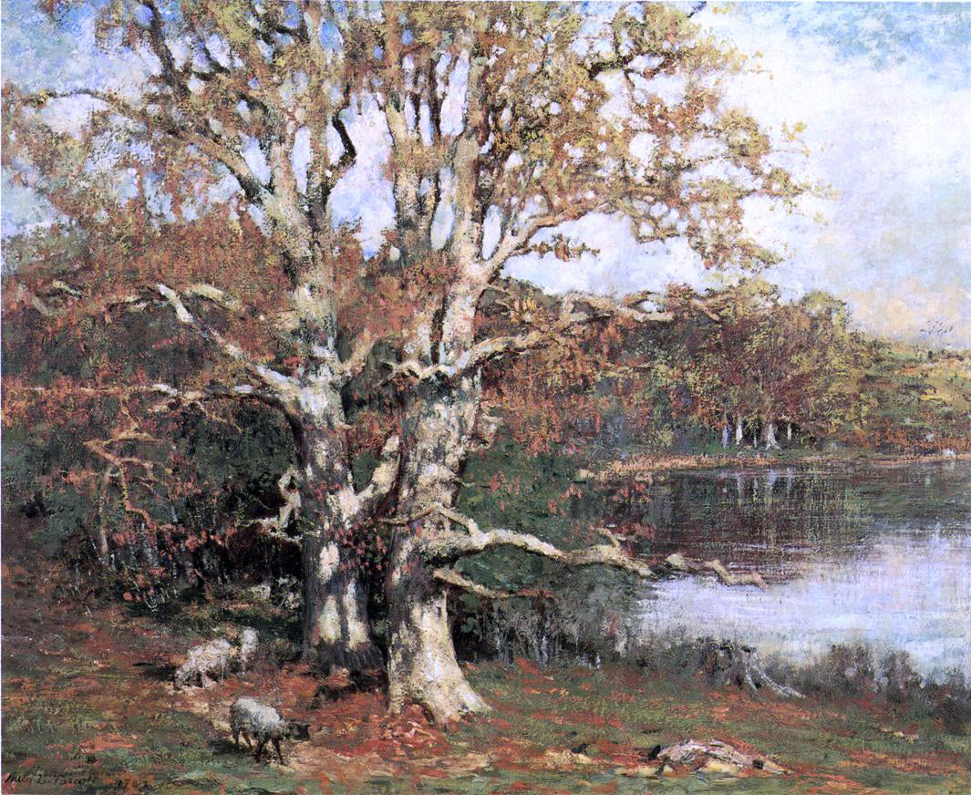 Allen Butler Talcott Pasture Oaks - Canvas Print