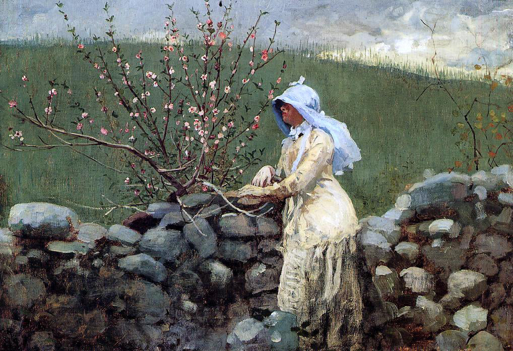 Winslow Homer Peach Blossoms - Canvas Print