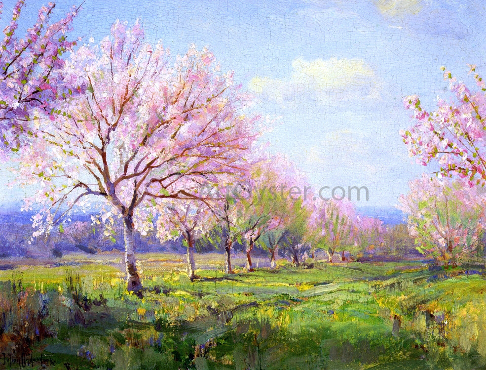 Julian Onderdonk Peach Orchard on Mavericks Farm - Canvas Print