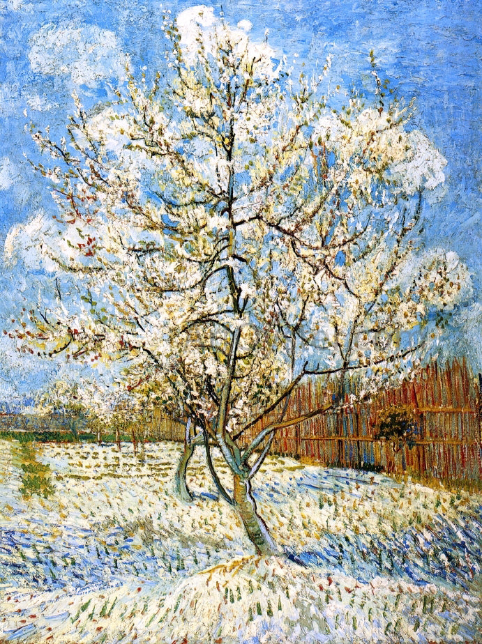 Vincent Van Gogh Peach Trees in Blossom - Canvas Print