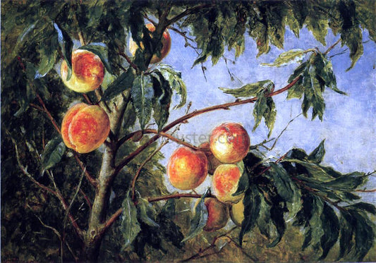 Thomas Worthington Whittredge Peaches - Canvas Print