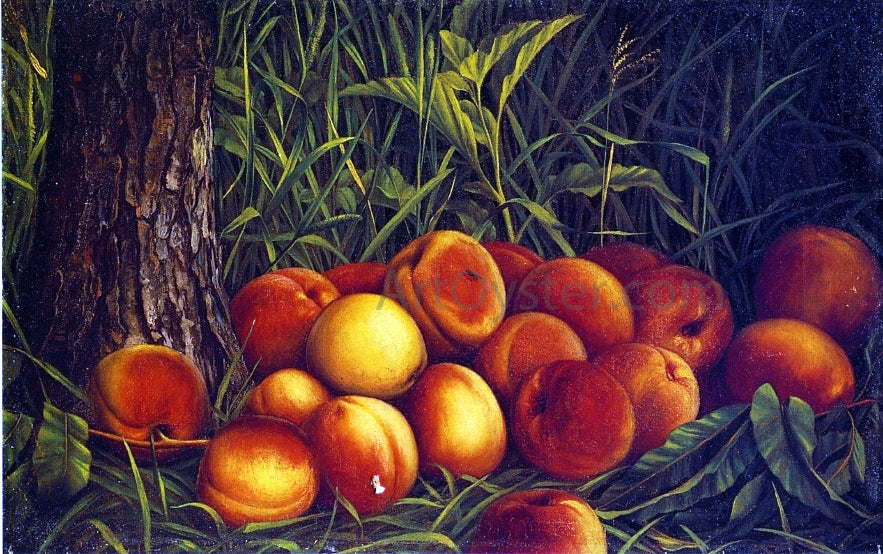 Levi Wells Prentice Peaches - Canvas Print