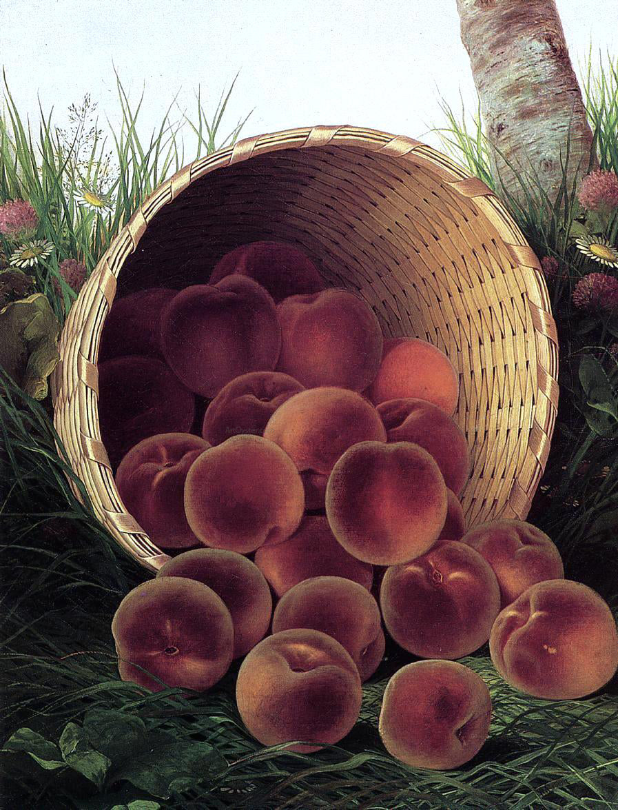 William Mason Brown Peaches in an Upturned Basket - Canvas Print