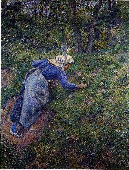 Camille Pissarro Peasant Gathering Grass - Canvas Print
