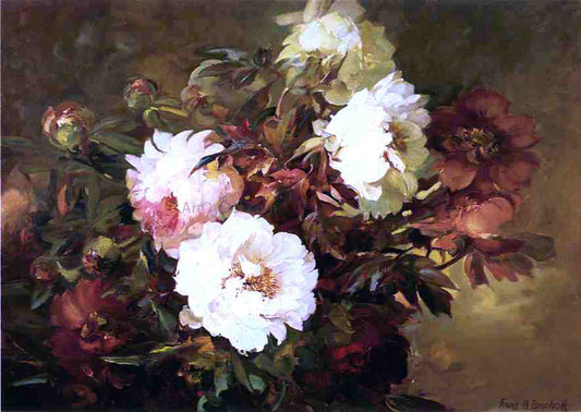 Franz Bischoff Peonies - Canvas Print