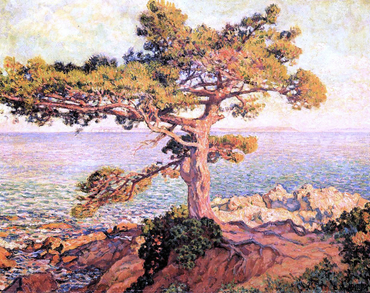 Theo Van Rysselberghe A Pine by the Mediterranean Sea - Canvas Print