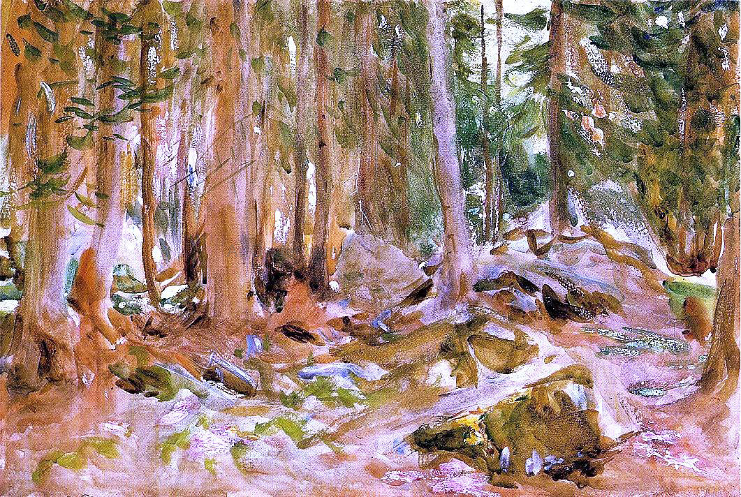 John Singer Sargent Pine Forest - Canvas Print