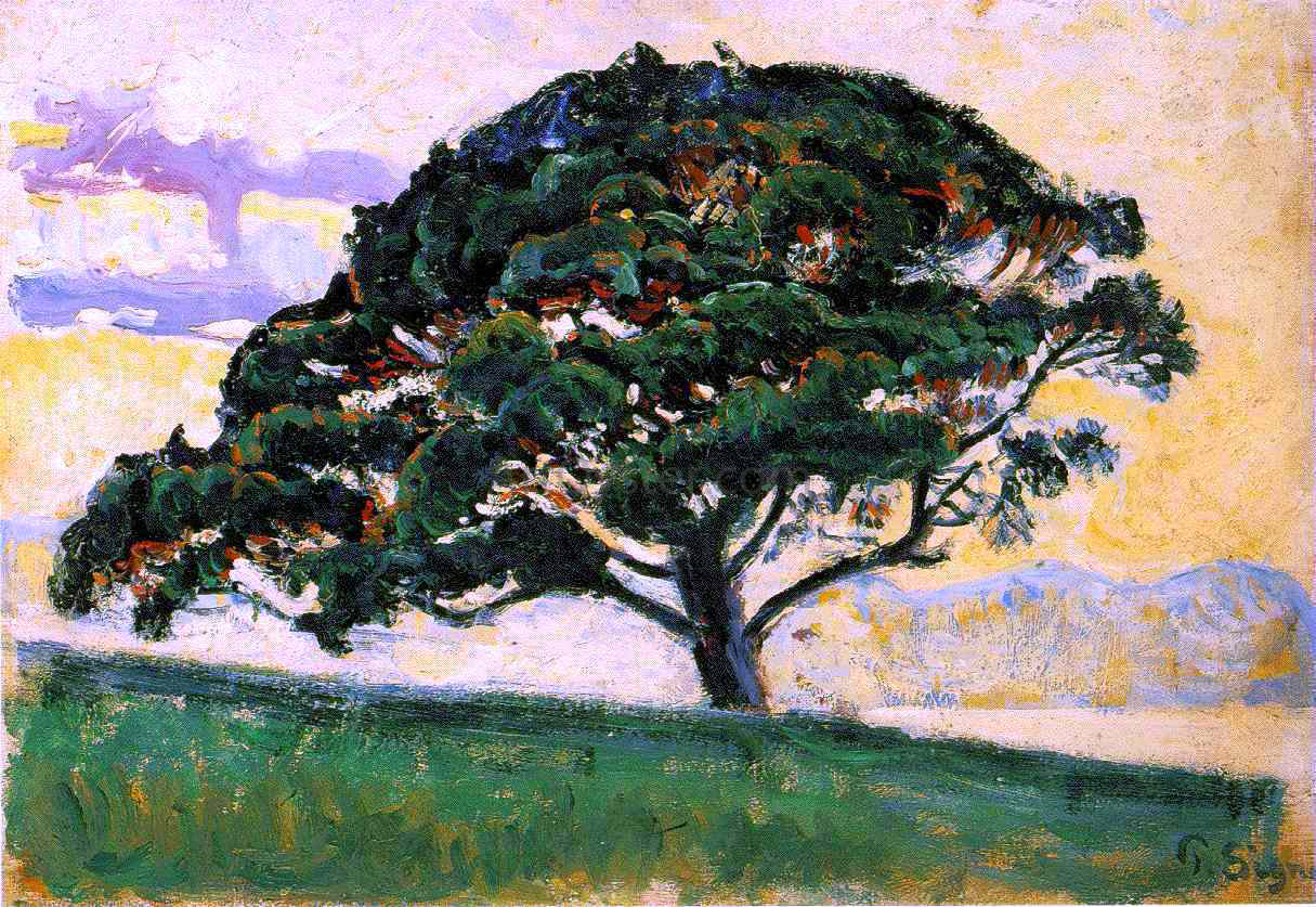 Paul Signac Pine St. Tropez - Canvas Print