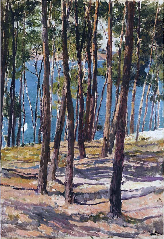 Joaquin Sorolla Y Bastida Pine Trees - Canvas Print