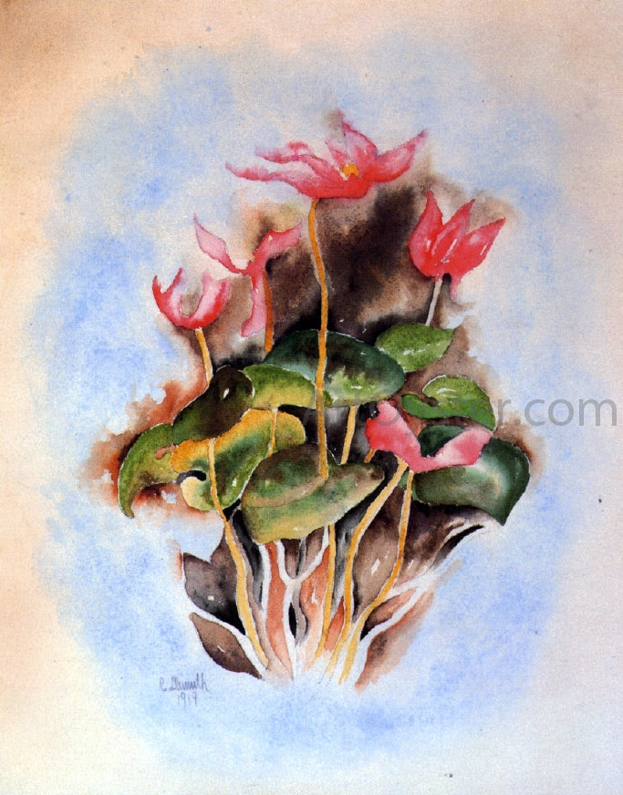 Charles Demuth Pink Cyclamen - Canvas Print