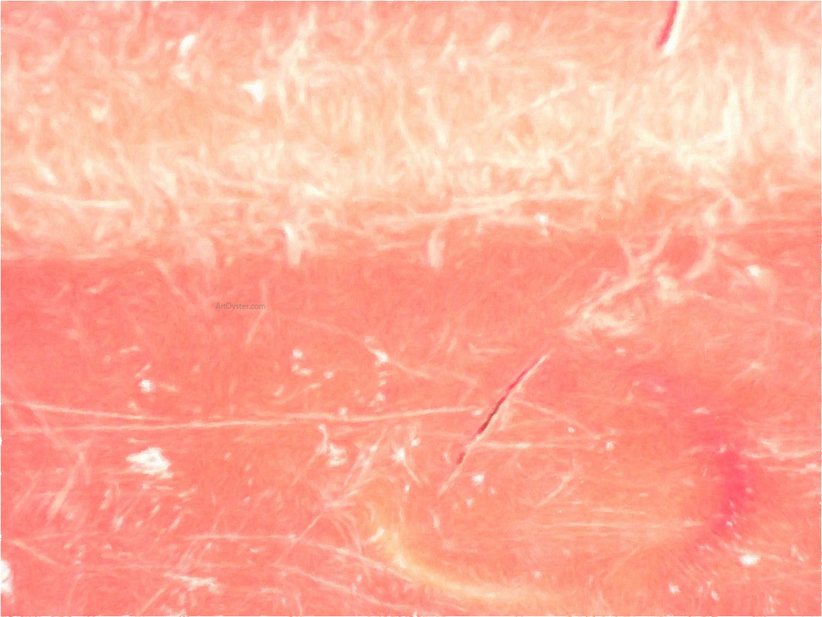 Our Original Collection Pink Scratch Abstract - Canvas Print