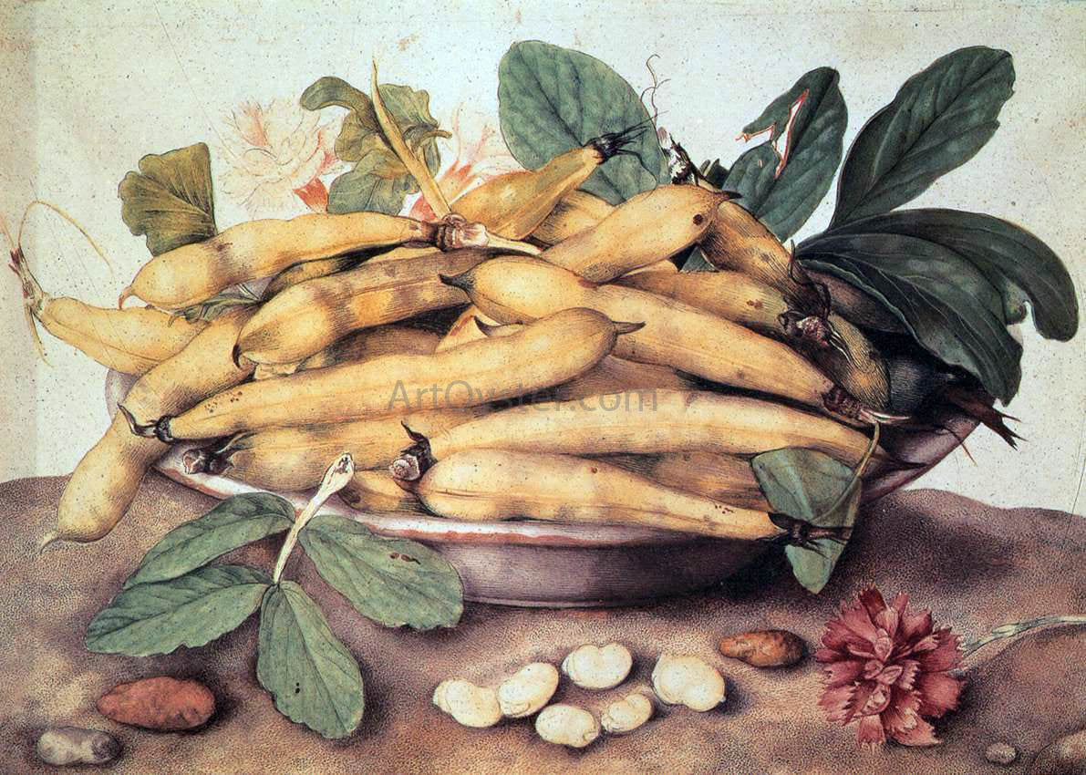 Giovanna Garzoni Plate of Peas - Canvas Print