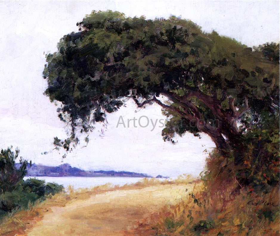 Guy Orlando Rose Point Lobos, Oak Tree - Canvas Print