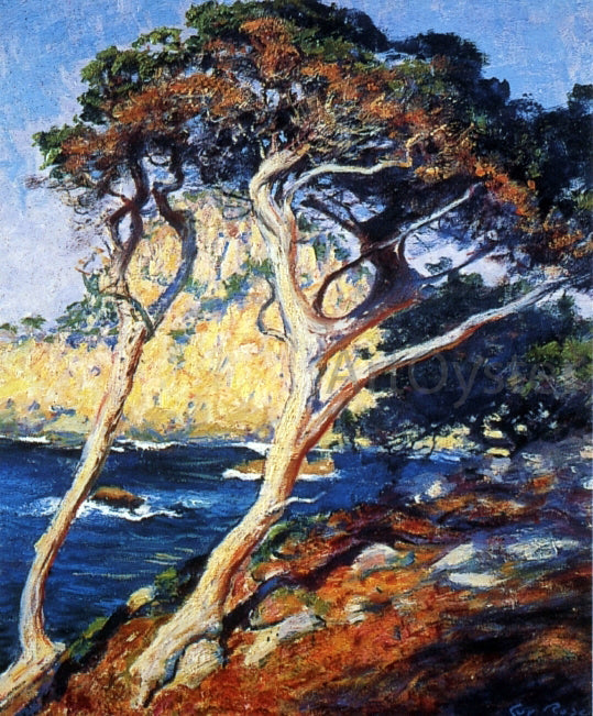 Guy Orlando Rose Point Lobos Trees - Canvas Print