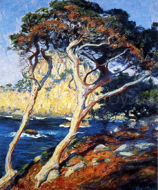 Guy Orlando Rose Point Lobos Trees - Canvas Print