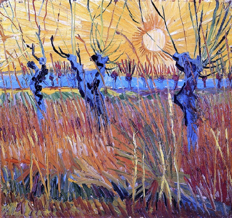 Vincent Van Gogh Pollard Willow with Setting Sun - Canvas Print