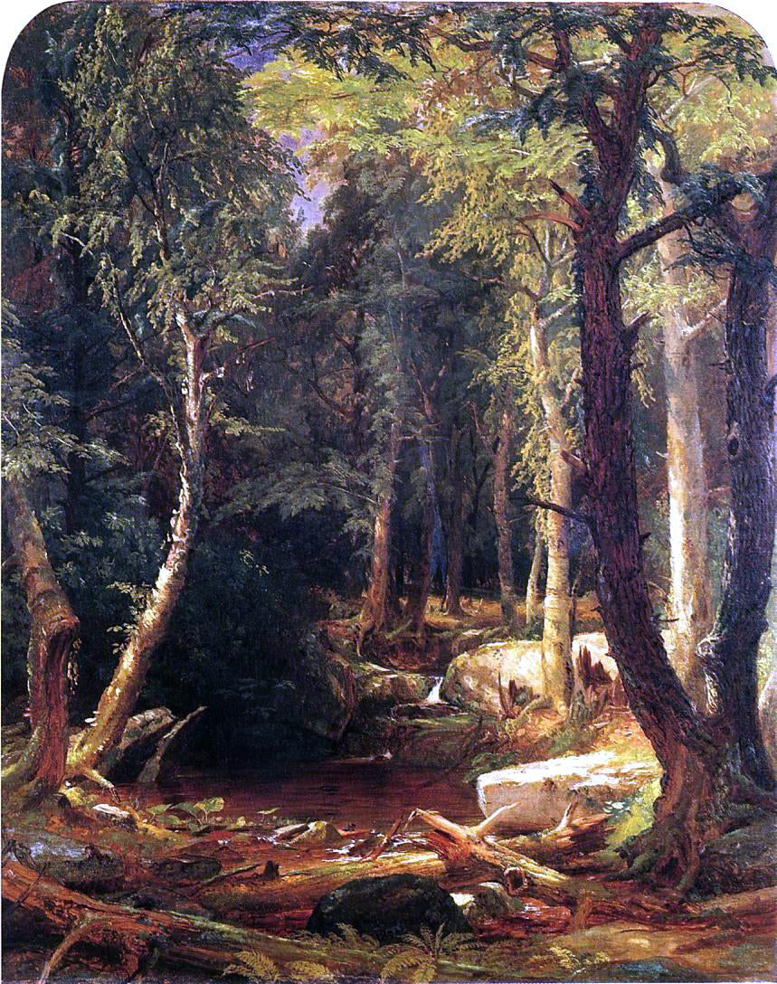 Jasper Francis Cropsey Pool in the Woods - Canvas Print