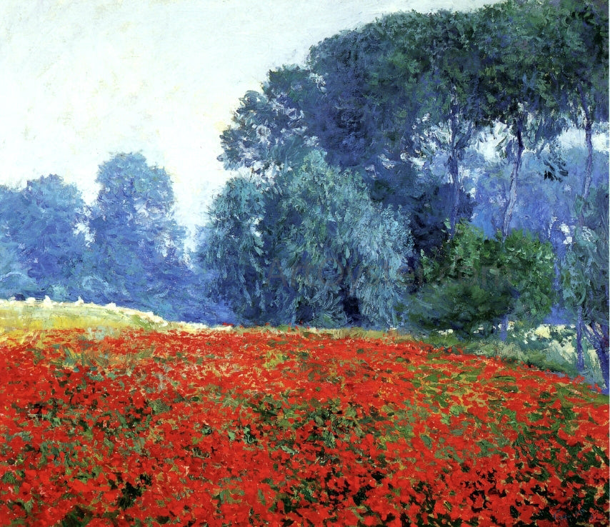 Guy Orlando Rose Poppy Field - Canvas Print