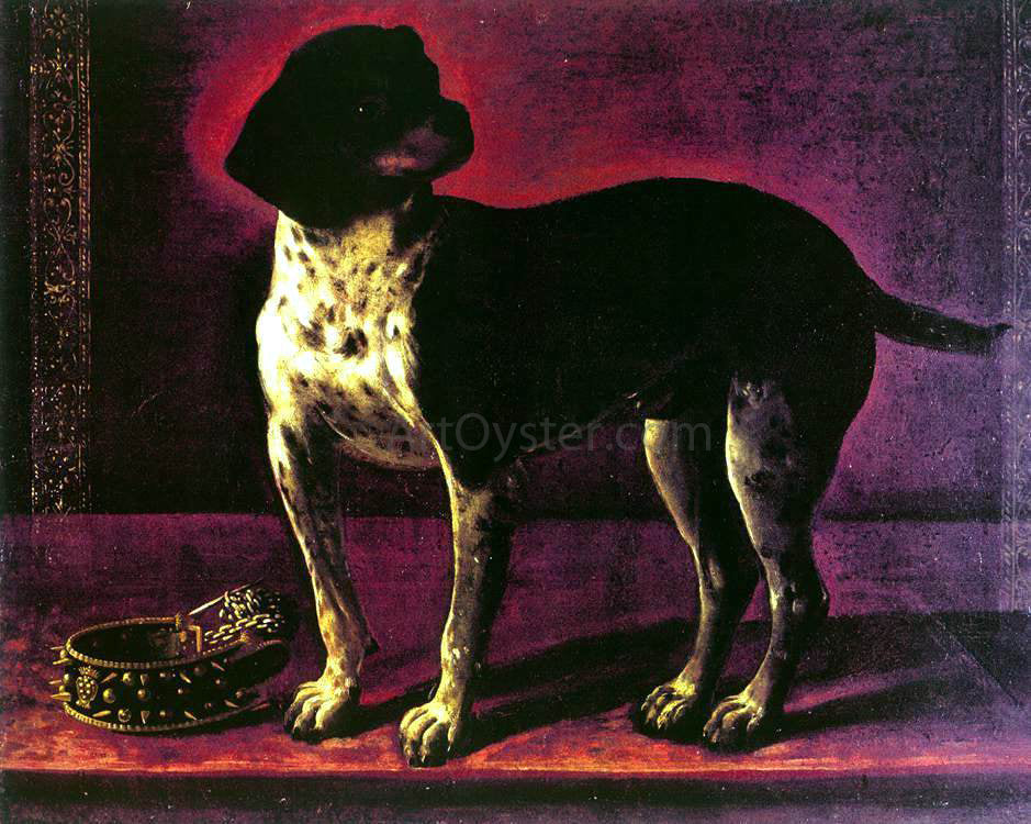 Tiberio Di Tito Portrait of a Dog - Canvas Print
