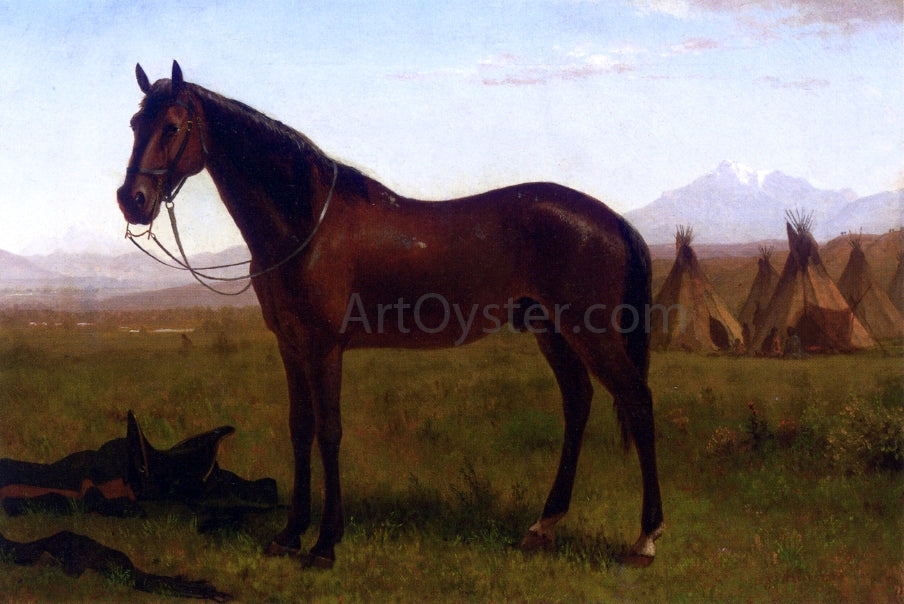 Albert Bierstadt Portrait of a Horse - Canvas Print