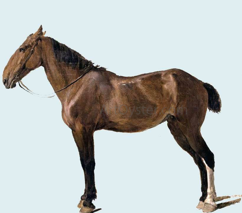 Jacques-Laurent Agasse Portrait of a Horse - Canvas Print