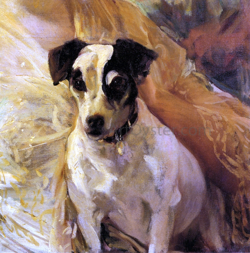 Joaquin Sorolla Y Bastida Portrait of a Jack Russell - Canvas Print
