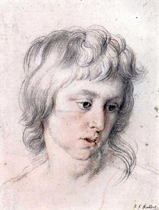 Peter Paul Rubens Portrait of Boy - Canvas Print