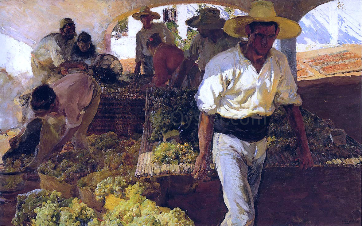 Joaquin Sorolla Y Bastida Preparing Raisins - Canvas Print