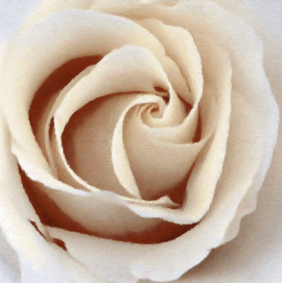 Our Original Collection Pretty Sepia Rose - Canvas Print