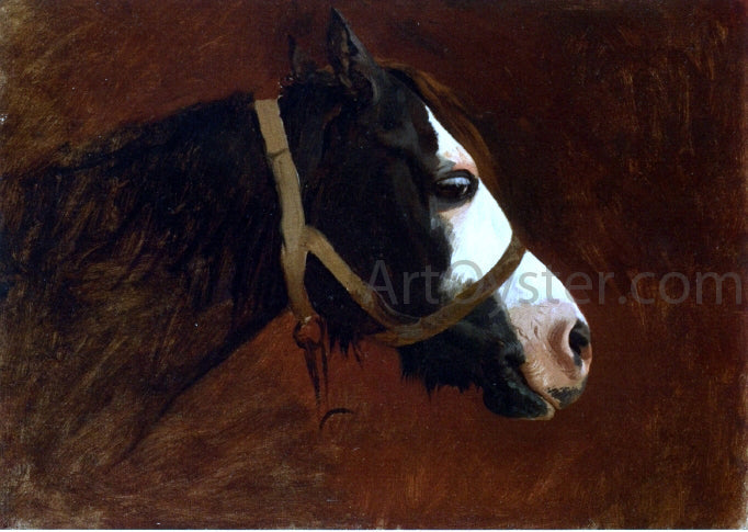 Jean-Leon Gerome Profile of a Horse - Canvas Print