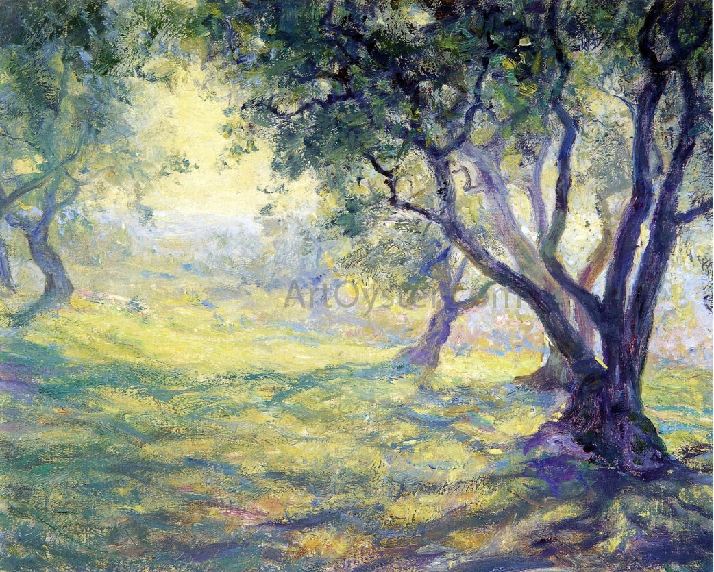 Guy Orlando Rose Provincial Olive Grove - Canvas Print