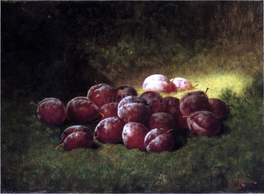 Carducius Plantagenet Ream Purple Plums - Canvas Print