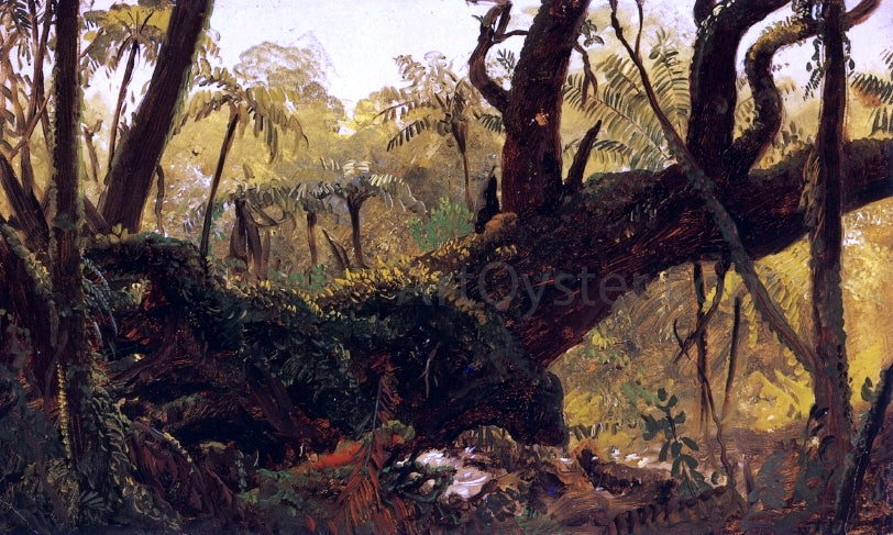 Frederic Edwin Church Rain Forest, Jamaica, West Indies - Canvas Print